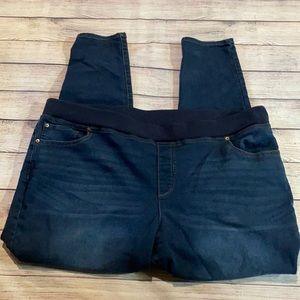 Terra &  Sky jeggings size 2x